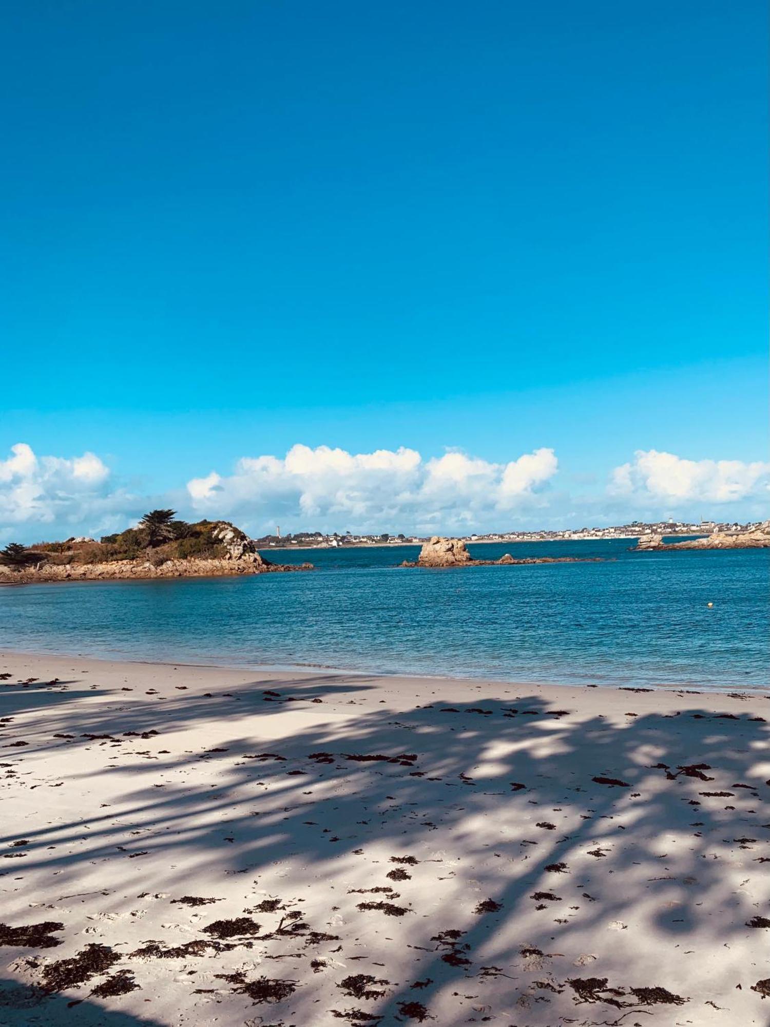 Studio Vue Sur Mer Avec Veranda - Roscoff Lägenhet Exteriör bild